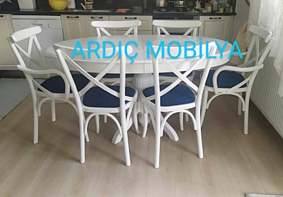 ardic-mobilya-ankara-siteler-mutfak-masa-sandalye-163