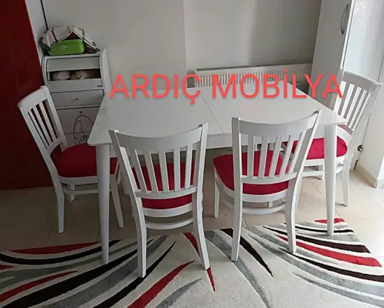 ardic-mobilya-ankara-siteler-mutfak-masa-sandalye-161