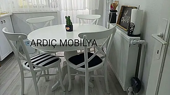 ardic-mobilya-ankara-siteler-mutfak-masa-sandalye-129