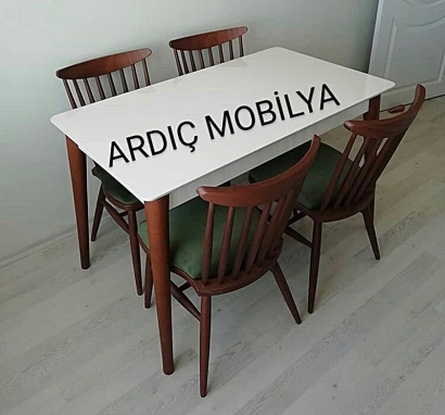 ardic-mobilya-ankara-siteler-mutfak-masa-sandalye-153