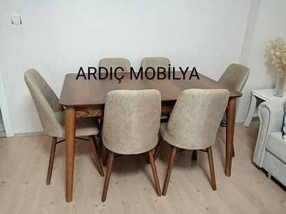 ardic-mobilya-ankara-siteler-mutfak-masa-sandalye-159