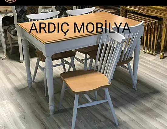 ardic-mobilya-ankara-siteler-mutfak-masa-sandalye-158