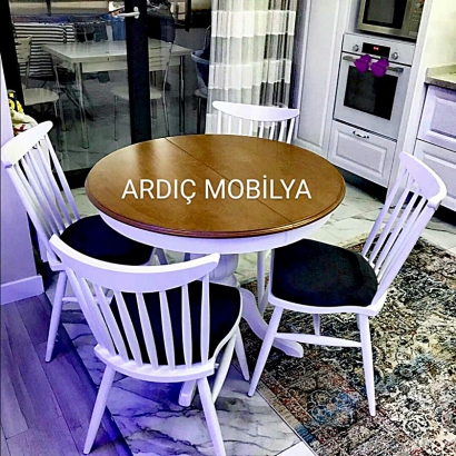 ardic-mobilya-ankara-siteler-mutfak-masa-sandalye-114